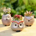 Flowerpot Owl Garden decoration Ceramic Suitable for Succulents tag1