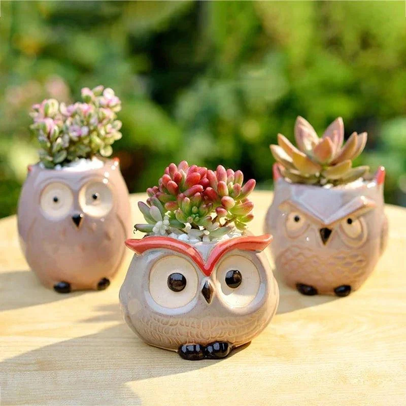 Flowerpot - Owl - Garden decoration - Ceramic - Suitable for Succulents -  - #tag1#