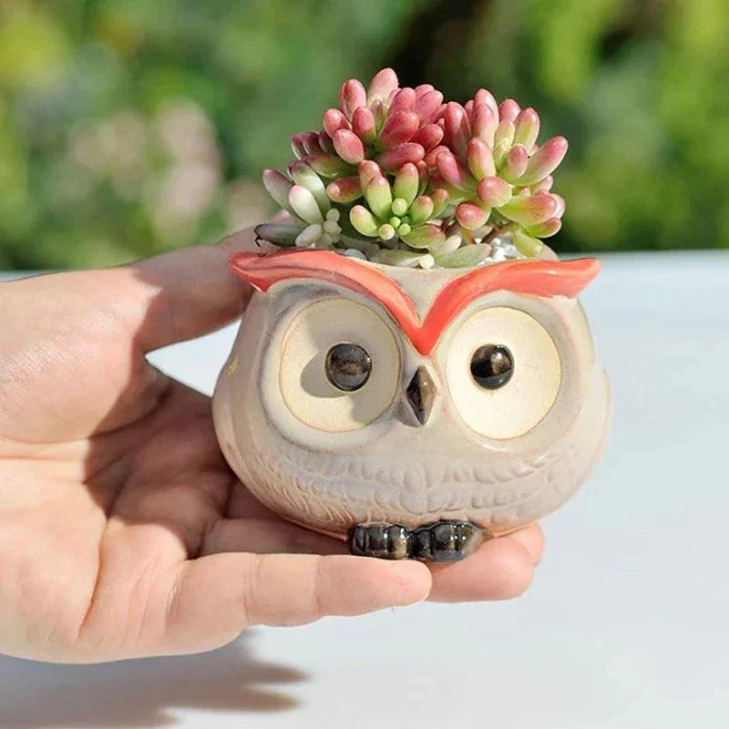 Flowerpot - Owl - Garden decoration - Ceramic - Suitable for Succulents -  - #tag1#