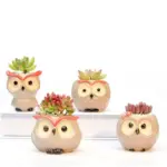 Flowerpot Owl Mini tag1