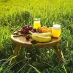 Foldable Picnic Table tag1