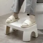 Foldable Toilet Squat Stool tag1