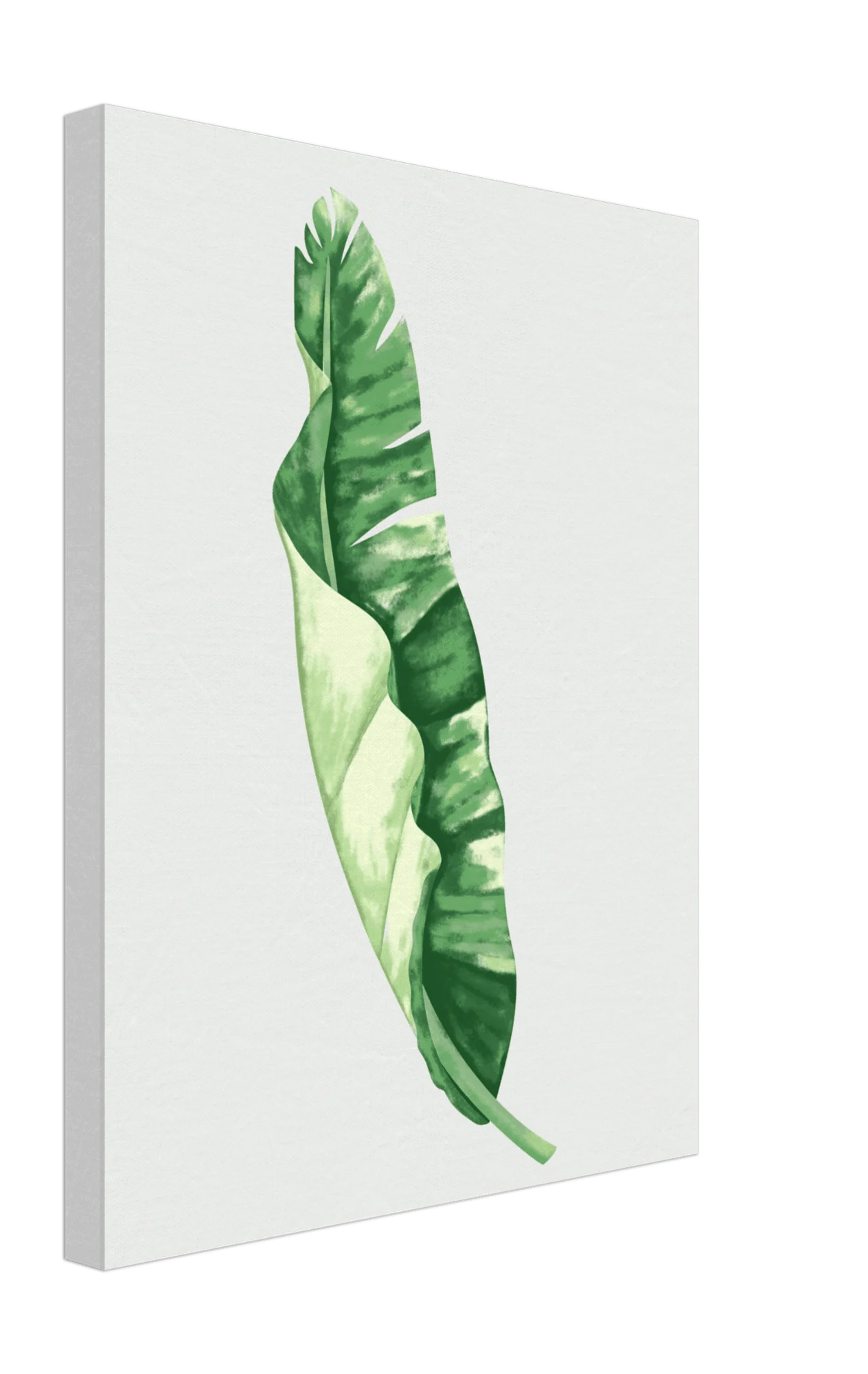 Foliage Canvas -  - #tag1#