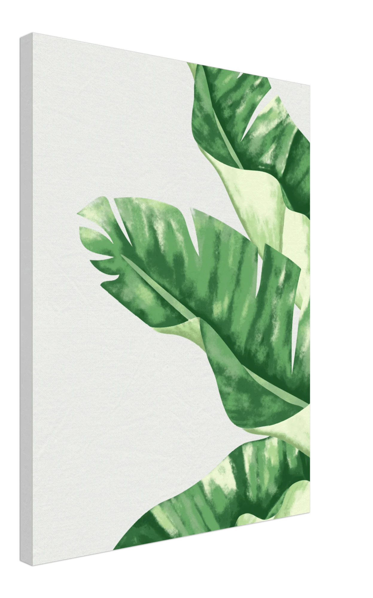 Foliage Canvas -  - #tag1#