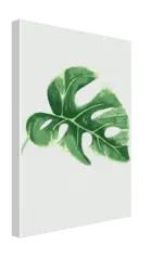 Foliage Canvas tag1