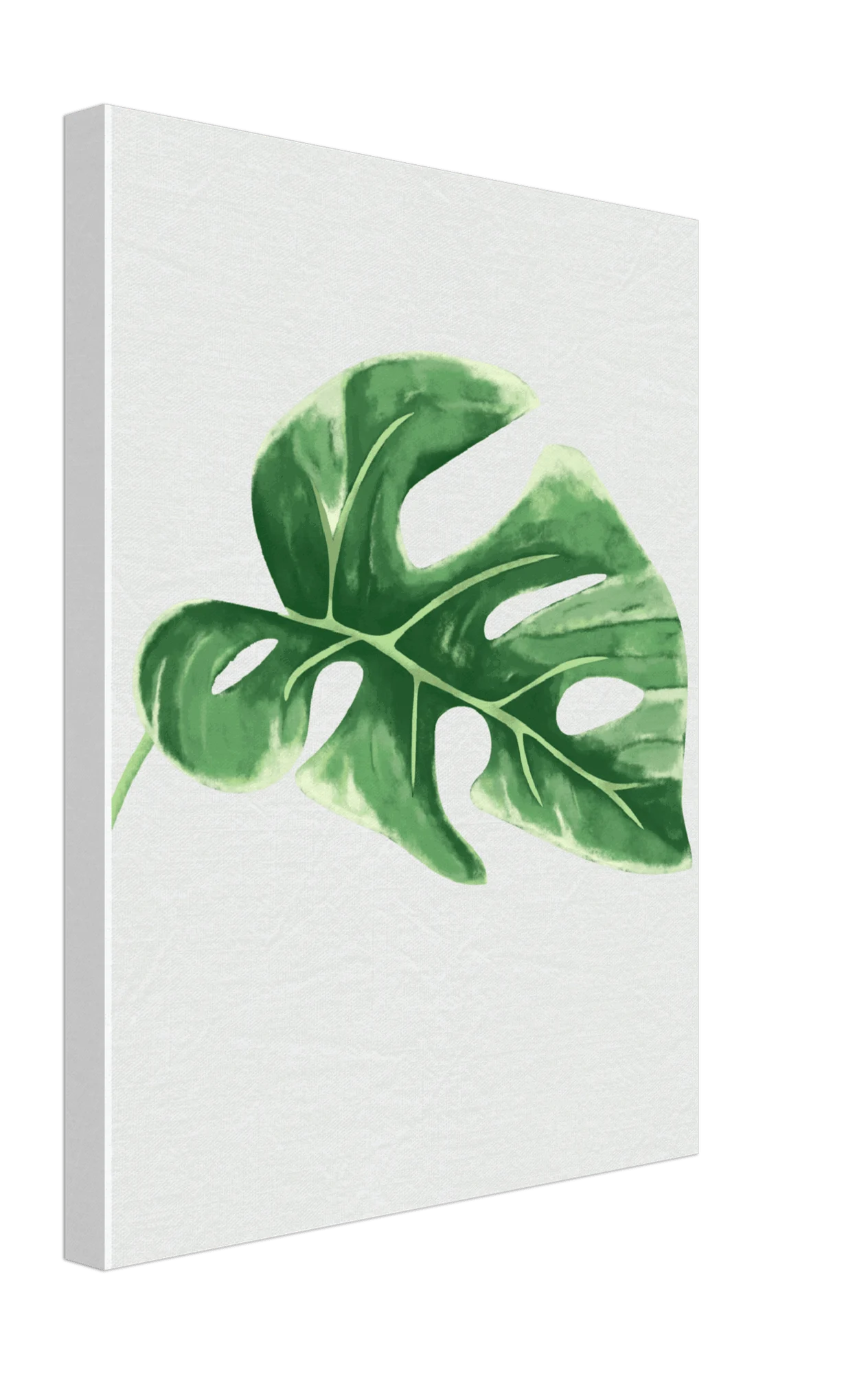 Foliage Canvas -  - #tag1#
