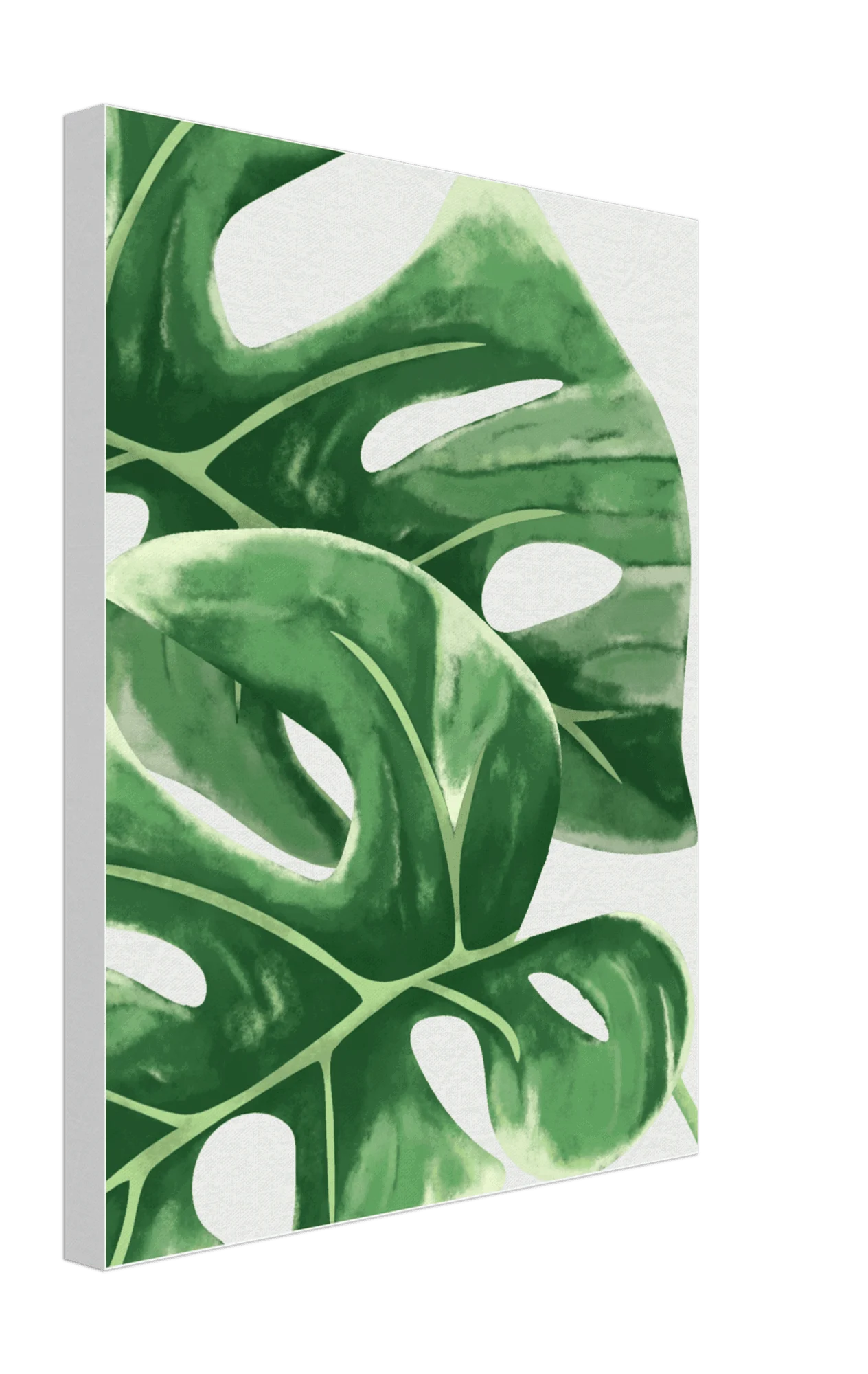 Foliage Canvas -  - #tag1#