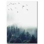 ForestBreeze Homeko7