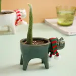 Frisky Kitty Ceramic Pot