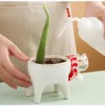 Frisky Kitty Ceramic Pot