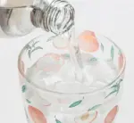 Fruit Borosilicate Glass Mug
