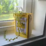 Fruit Juice Cardboard Planter tag1