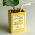Fruit Juice Cardboard Planter tag1