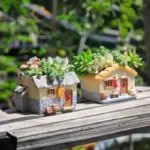 Funny Farmhouse Planter Vintage Charm for Succulents and Air Plants
