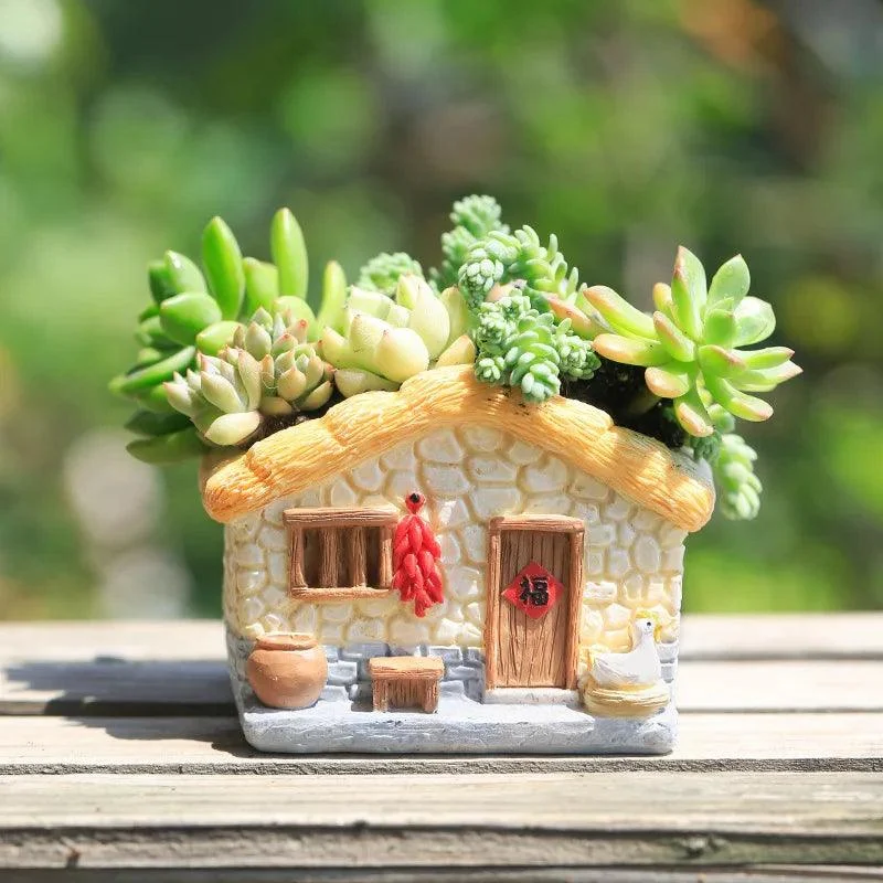 Funny Farmhouse Planter: Vintage Charm for Succulents and Air Plants -