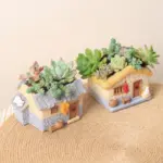 Funny Farmhouse Planter Vintage Charm for Succulents and Air Plants
