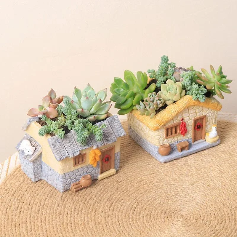 Funny Farmhouse Planter: Vintage Charm for Succulents and Air Plants -