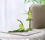 Funny Meditating Yoga Frog Statue