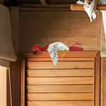 Funny Resting Rooster Nice garden decoration tag1