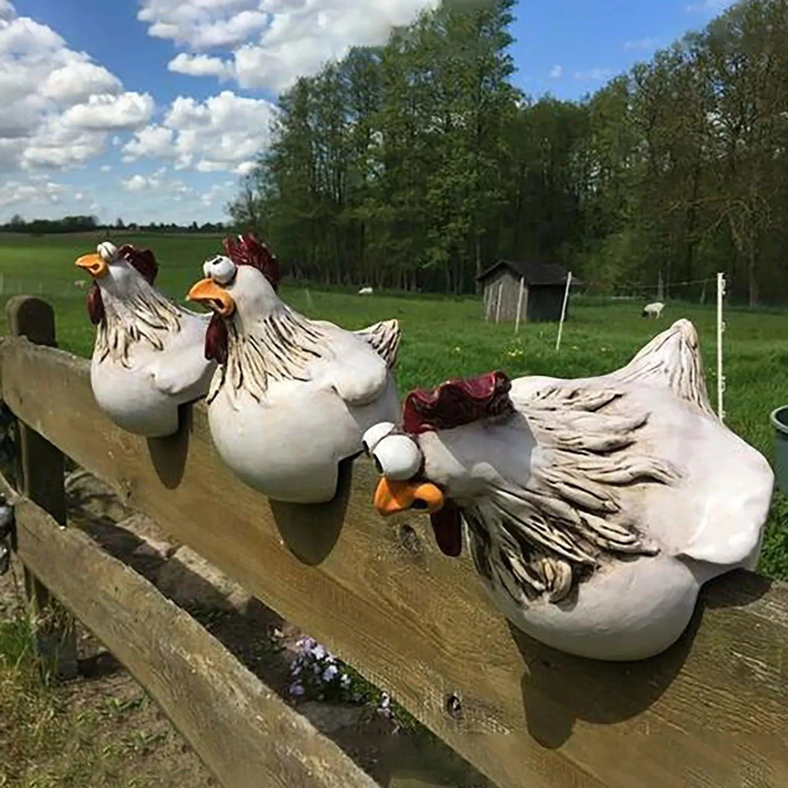 GardenChicken | Nice garden decoration -  - #tag1#