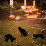 Garden_Ornaments_Halloween_Decorations_Black_Cat_Silhouette_-_-_tag1_-4233761 Garden Ornaments Halloween Decorations Black Cat Silhouette tag1