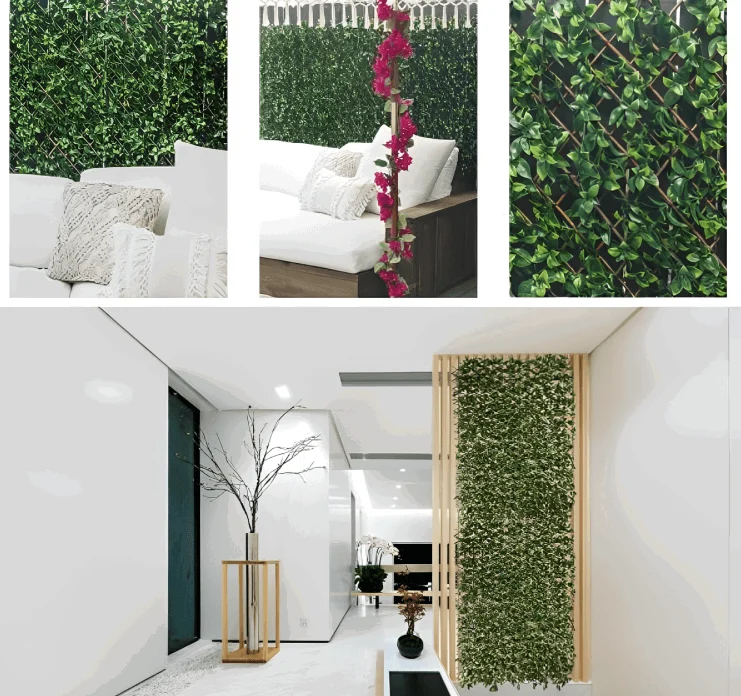 Garden Scape -  - #tag1#