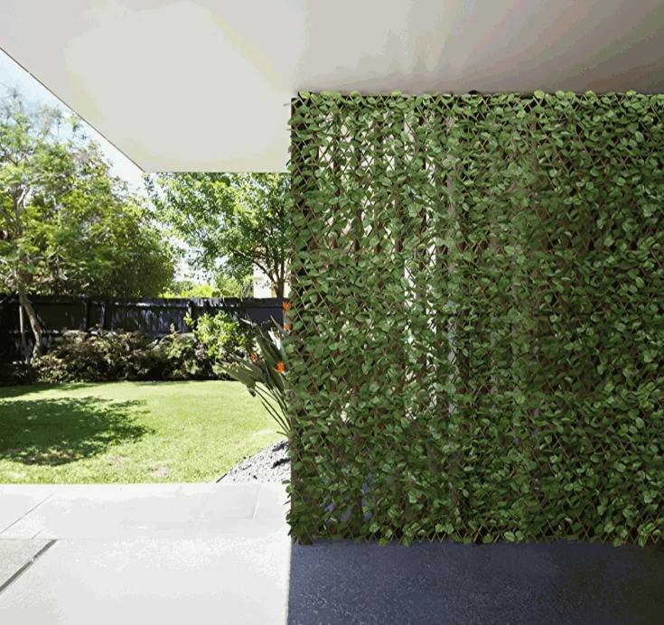 Garden Scape -  - #tag1#