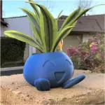Gekkige Plantenbak Gekkige Bloempot Sappige Bloempot Plantenbak.jpg a7608cd3 a358 4cc9 8de5 6d3b21b06a2a