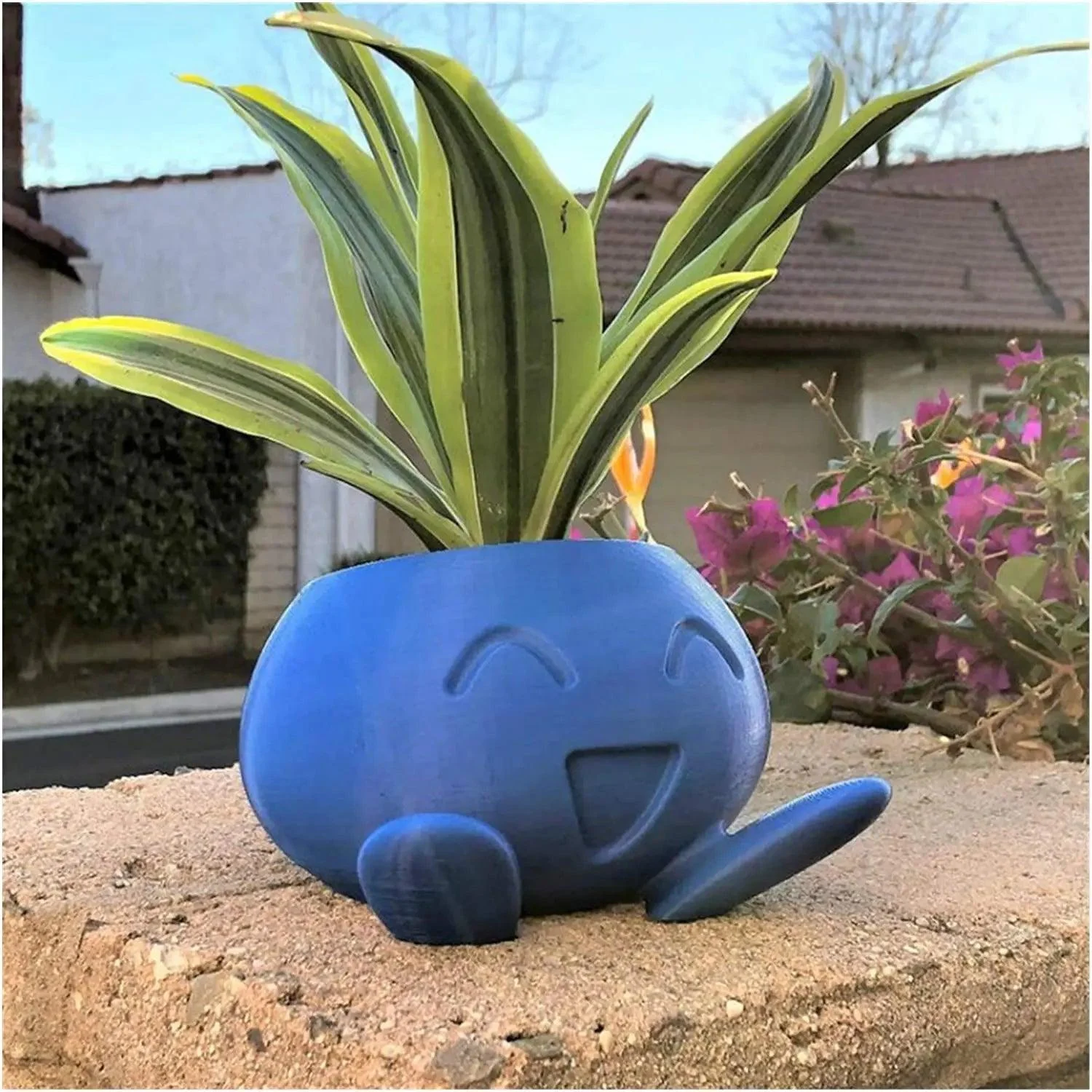 Gekkige Plantenbak Gekkige Bloempot Sappige Bloempot Plantenbak.jpg A7608cd3 A358 4cc9 8de5 6d3b21b06a2a