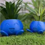 Gekkige Plantenbak Gekkige Bloempot Sappige Bloempot Plantenbak.jpg d839ddc0 89a5 40be b7d2 ac1663bfc55b