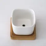 Geometric Succulent Planter 2pc