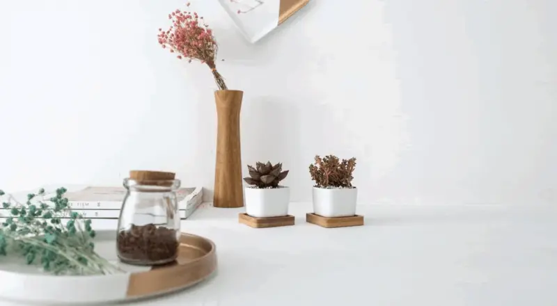 Geometric Succulent Planter 2pc