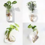 Geometric Wall Planters