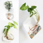 Geometric Wall Planters