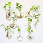 Geometric Wall Planters