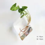 Geometric Wall Planters