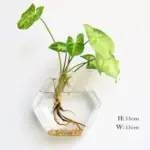 Geometric Wall Planters