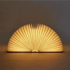 Get Lost in Your Book - 360 Degree LED Book Decor Lamp