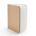 Get Lost in Your Book 360 Degree LED Book Decor Lamp