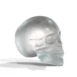 Giant_Skull_Ice_Cube_-_-_tag1_-4237035 Giant Skull Ice Cube tag1