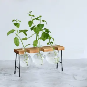 Tabletop Propagation Station