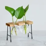 Glass Vase Hydroponic Plant Wooden Frame Coffee Shop Decor Vase Terrarium Plants Home Bonsai Decoration Propagation