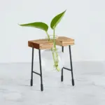 Glass Vase Hydroponic Plant Wooden Frame Coffee Shop Decor Vase Terrarium Plants Home Bonsai Decoration Propagation