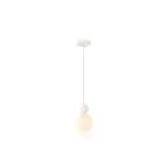 Glass Ball Single Pendant Ceiling Lamp