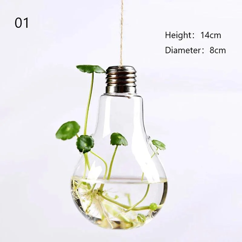 Glass Hanging Terrarium: Stylish Home Garden Décor -