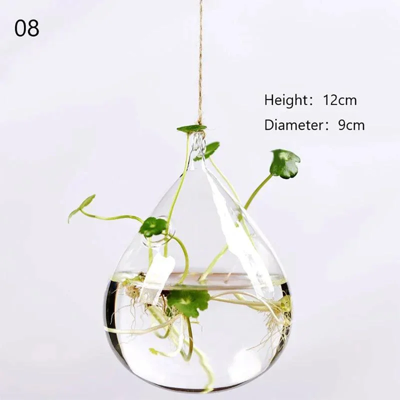 Glass Hanging Terrarium: Stylish Home Garden Décor -