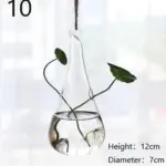 Glass Hanging Terrarium Stylish Home Garden Decor