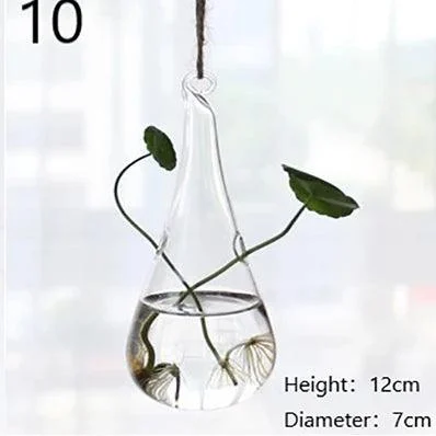 Glass Hanging Terrarium: Stylish Home Garden Décor -