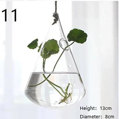 Glass Hanging Terrarium: Stylish Home Garden Décor -