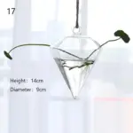 Glass Hanging Terrarium Stylish Home Garden Decor